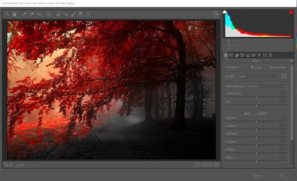 Hướng Dẫn Sử Dụng Camera Raw Trong Photoshop