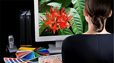 Học Photoshop Online Cấp Tốc