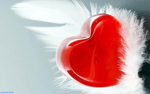 Tổng hợp top những ảnh nền avata đẹp nhất hiện nay Ảnh Nền Đẹp