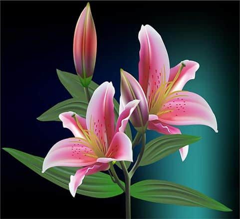 Khóa học photoshop Khóa Học Photoshop
