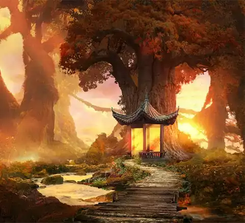 Khóa học photoshop Hướng Dẫn Sử Dụng Pen Tool Photoshop