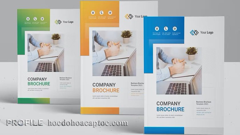 Profile là gì? Cách tạo profile chuyên nghiệp Profile Là Gì
