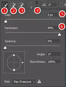 Cách Sử Dụng Quick Selection Tool Photoshop