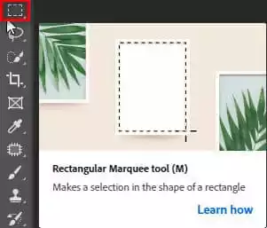 Cách Sử Dụng Rectangular Tool Photoshop