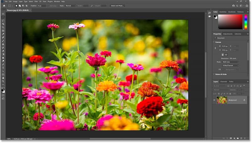 Học Photoshop cơ bản cho người mới bắt đầu Học Photoshop Cơ Bản Là Học Những Gì?