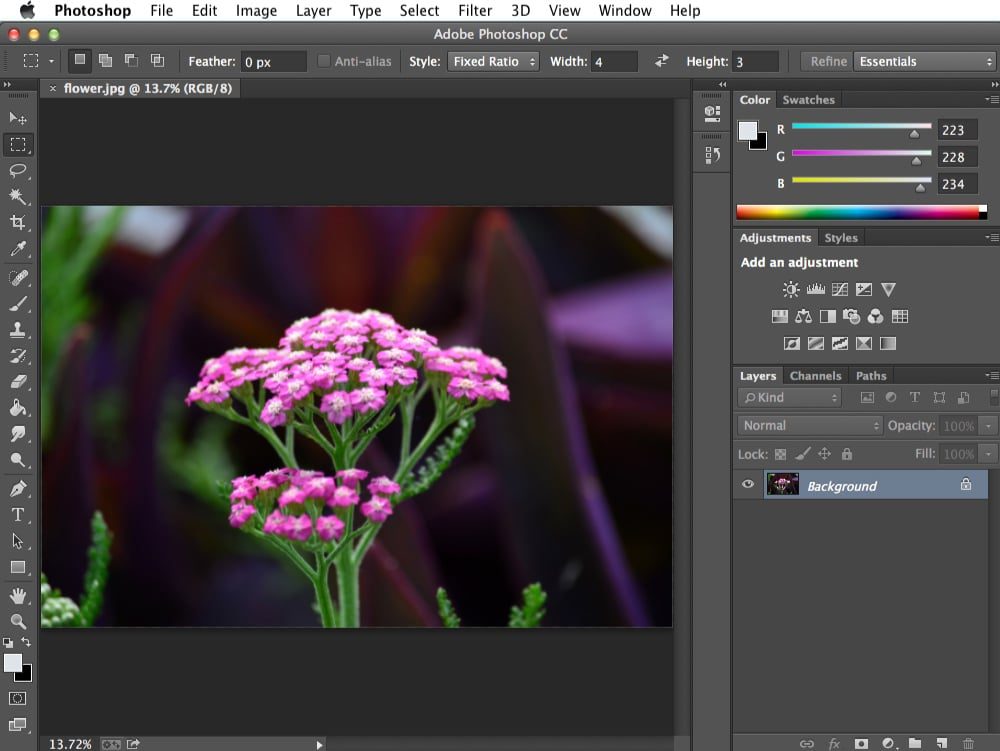Học Photoshop cơ bản cho người mới bắt đầu Cách Học Photoshop Cơ Bản Cho Người Mới Bắt Đầu.