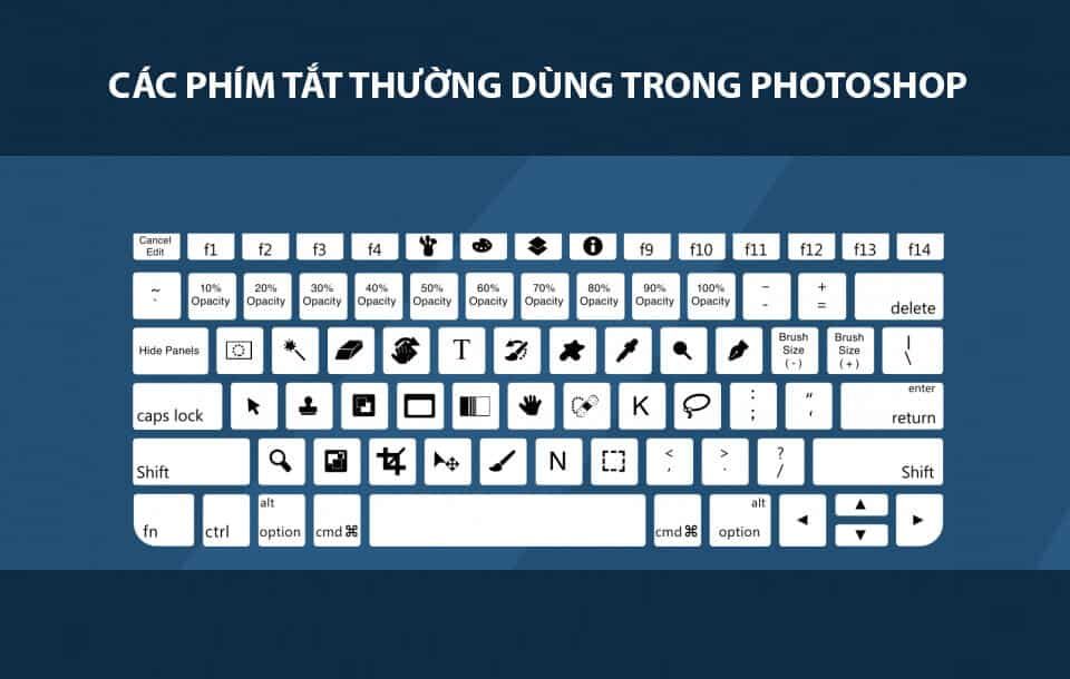 Cần chuẩn bị gì để học photoshop nhanh nhất? Luôn Thực Hành Sử Dụng Phím Tắt