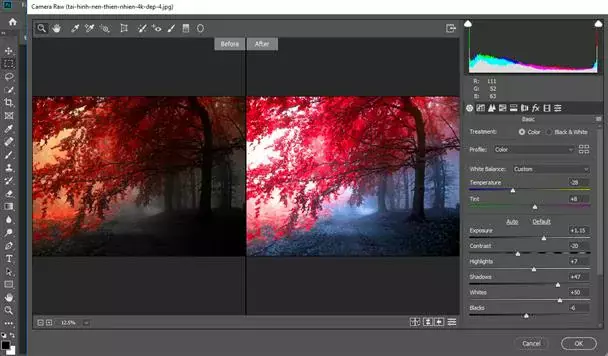 Hướng Dẫn Sử Dụng Pen Tool Photoshop