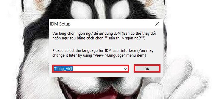 Tải Internet Download Manager (Idm) Miễn Phí Mới Nhất