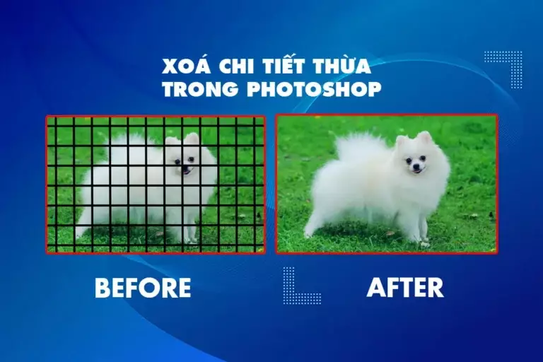 Hướng Dẫn Sử Dụng Pen Tool Photoshop