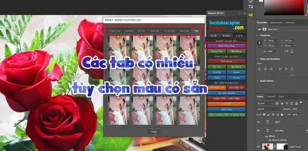 Các Preset lend màu cực đẹp Các Preset lend màu cực đẹp