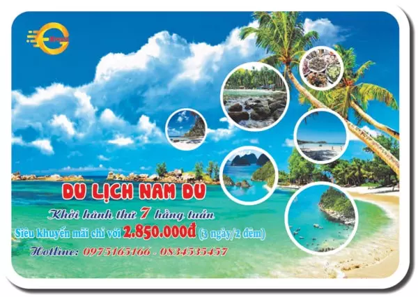 học illustrator ở đâu tphcm