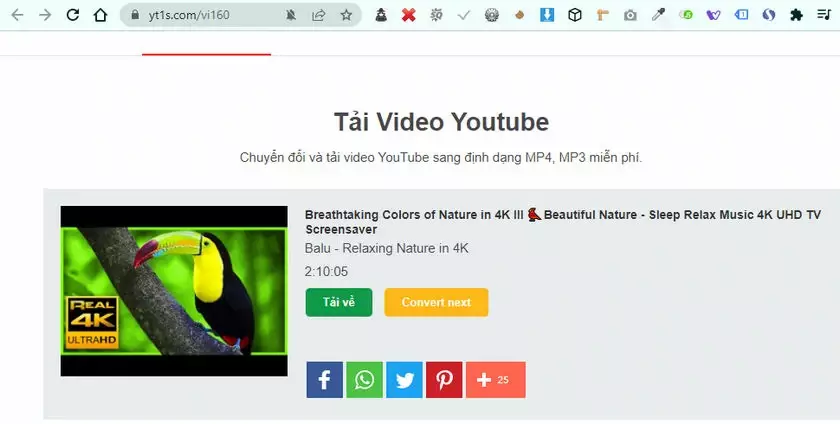 tai video youtube 11 Hướng dẫn chi tiết cách tải video youtube