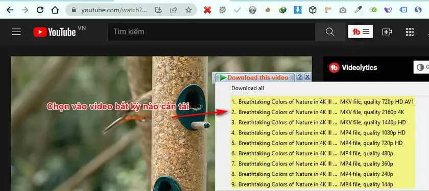 tai video youtube 14 downlaod video youtube