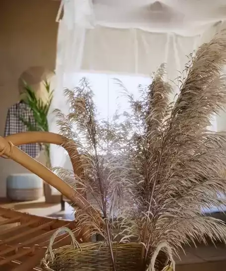 Chi tiết các thông số Setting trong Enscape