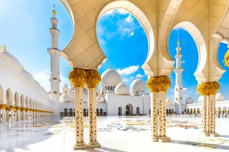 Hướng dẫn sử dụng Pen Tool Photoshop