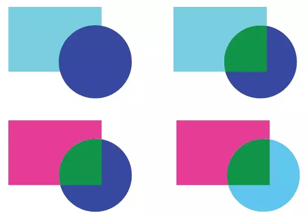 Cách sử dụng bộ công cụ Shape Builder Tool illustrator Công cụ Live Paint Bucket