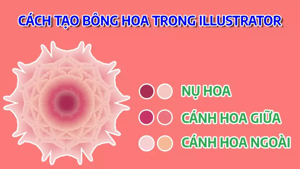 Hướng dẫn sử dụng Pen Tool Photoshop