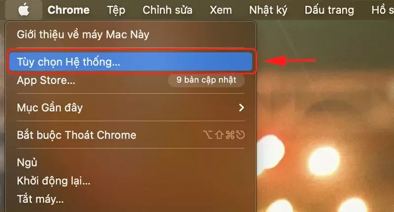 Cách Reset mật khẩu macbook chỉ vài bước Chọn Tùy chọn hệ thống
