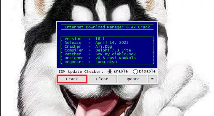 tai internet download manager full crack 26638 19