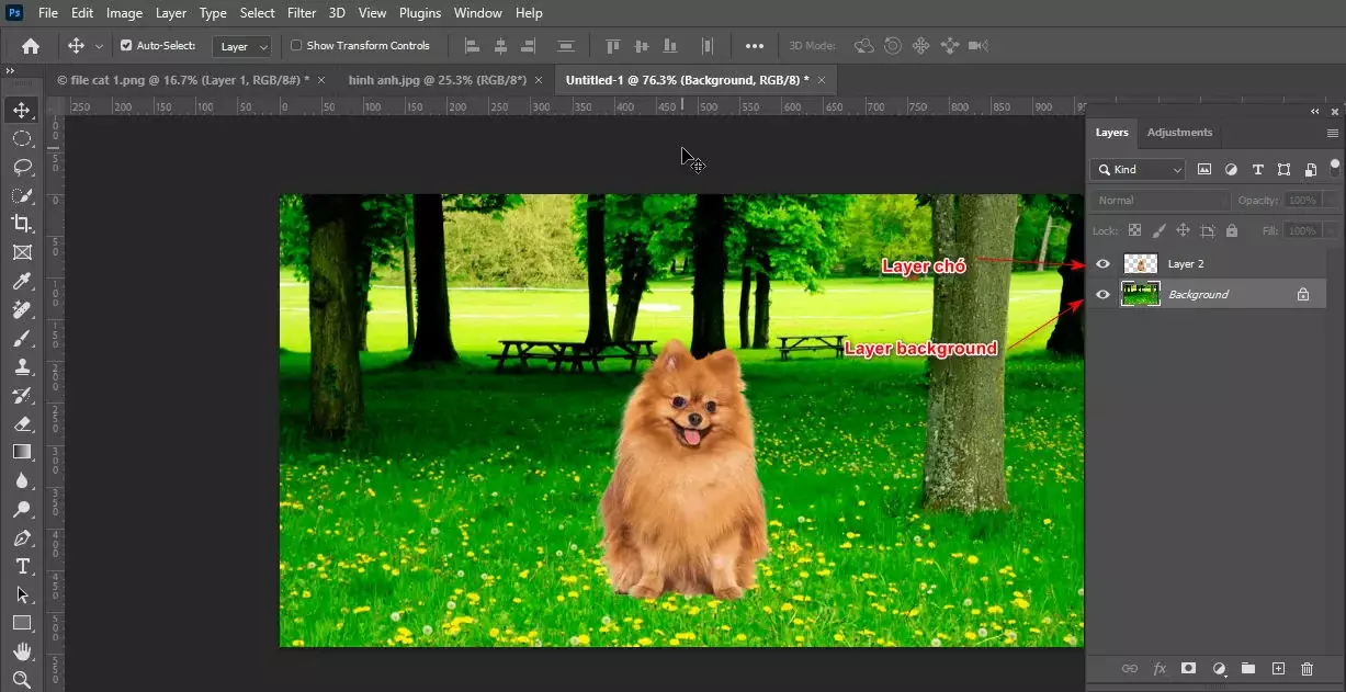 Cách tạo chất liệu ảnh trong photoshop 1 Cách tạo chất liệu ảnh trong photoshop