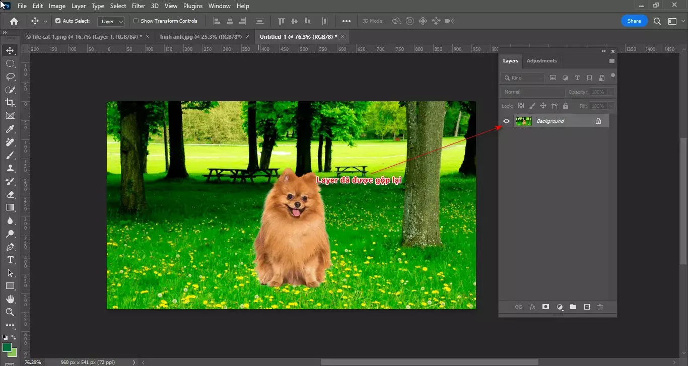 Cách tạo chất liệu ảnh trong photoshop 2 Cách tạo chất liệu ảnh trong photoshop
