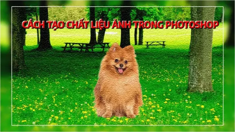 Hướng dẫn sử dụng Pen Tool Photoshop