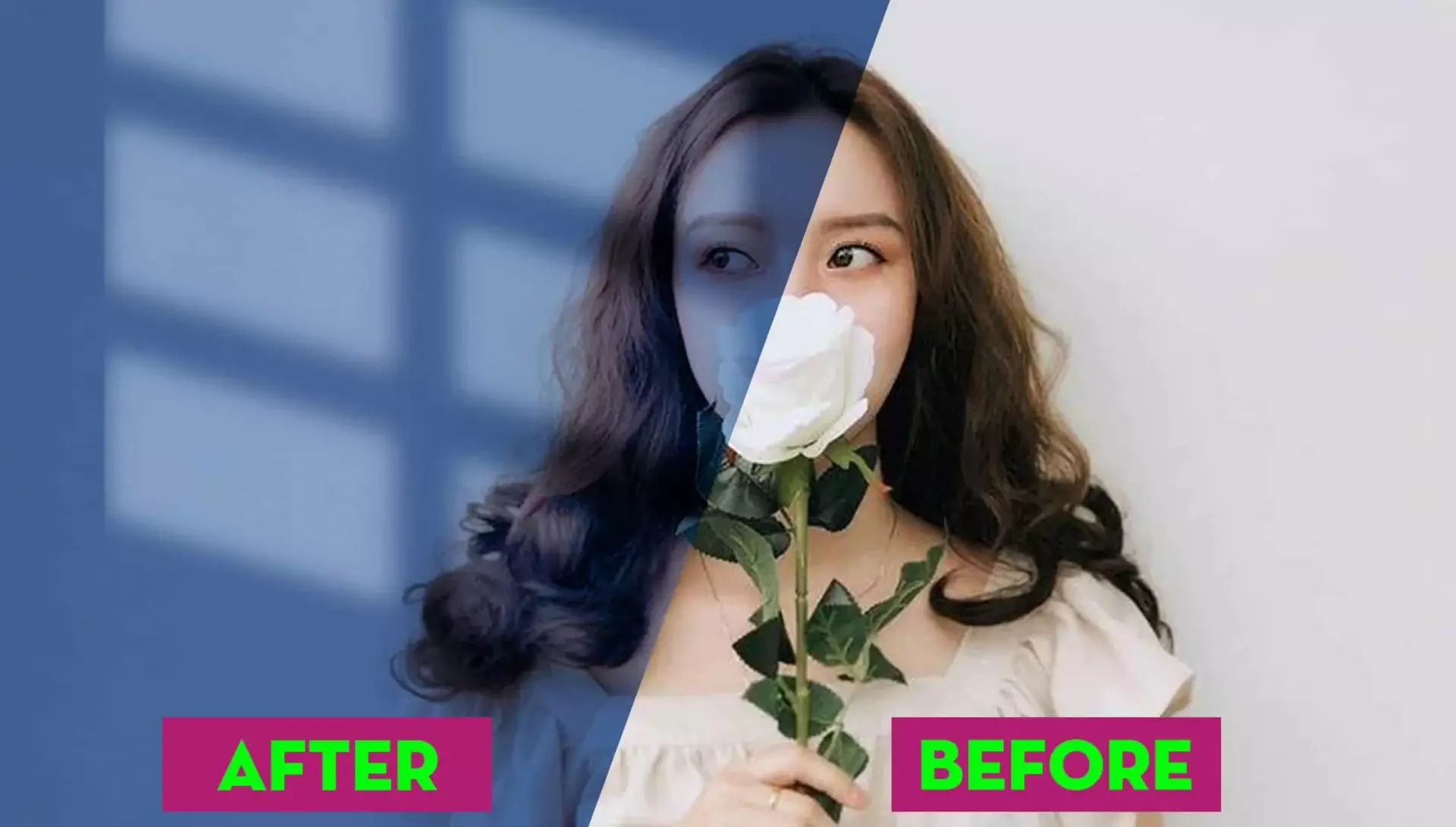 Hướng dẫn sử dụng Pen Tool Photoshop